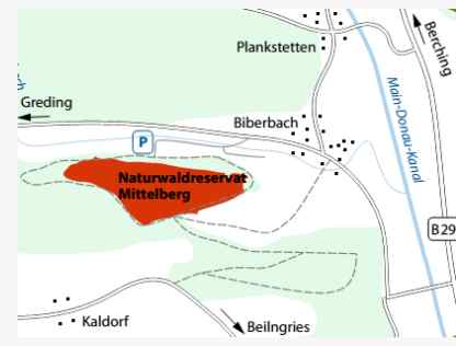 Naturwaldreservat Mittelberg bei Beilngries