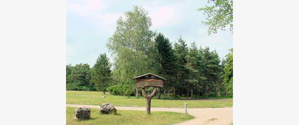 Wald-Lehrpfad in Beingries im Altmühltal