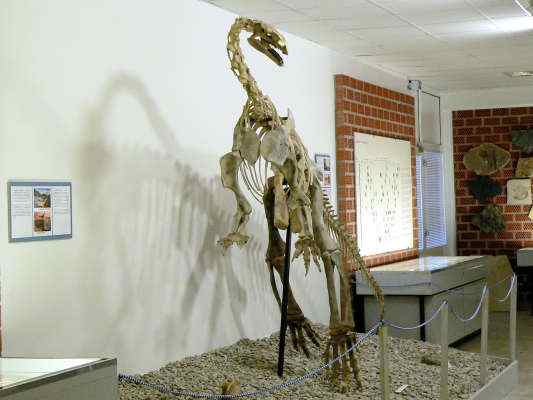 Saurier Plateosaurus aus dem Naturpark Altmühltal