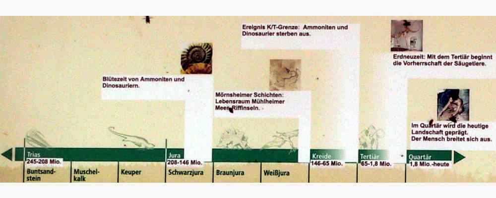 Stratigraphie der Mörnsheimer Schichten im Altmühltal
