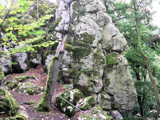 Naturschutzgebiet Klamm und Kastlhäng in Riedenburg im Altmühltal