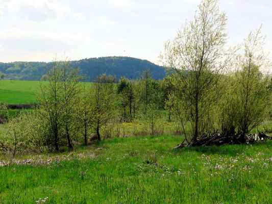 Biberlehrpfad in Thalmässing im Naturpark Altmühltal